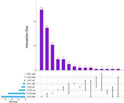 Comprehensive time-course gene expression evaluation of high-risk beef cattle to establish immunological characteristics associated with undifferentiated bovine respiratory disease